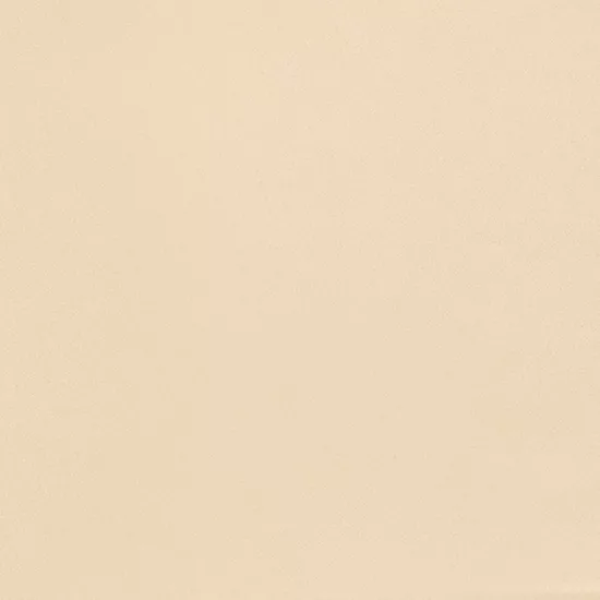 Carrelage Chevron Crema Mate Gauche 9x20,5 cm - détail du carreau