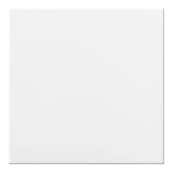 Carrelage 20x20 Bianco