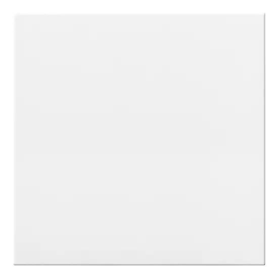 Carrelage 30x30 Bianco