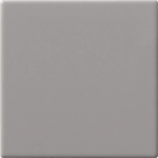 Carrelage 10x10 Perla
