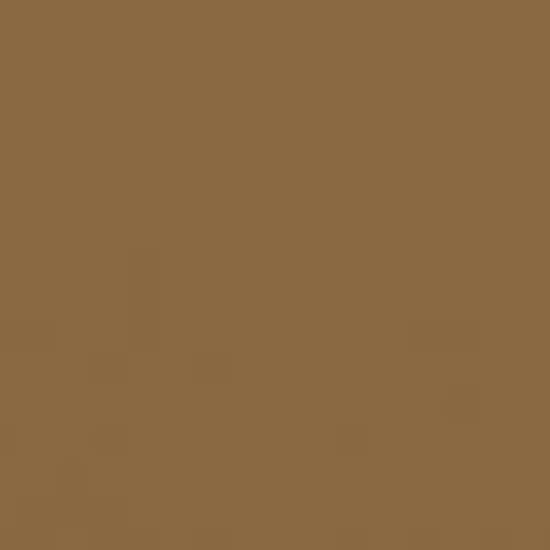 Carrelage 5x20 Caramello