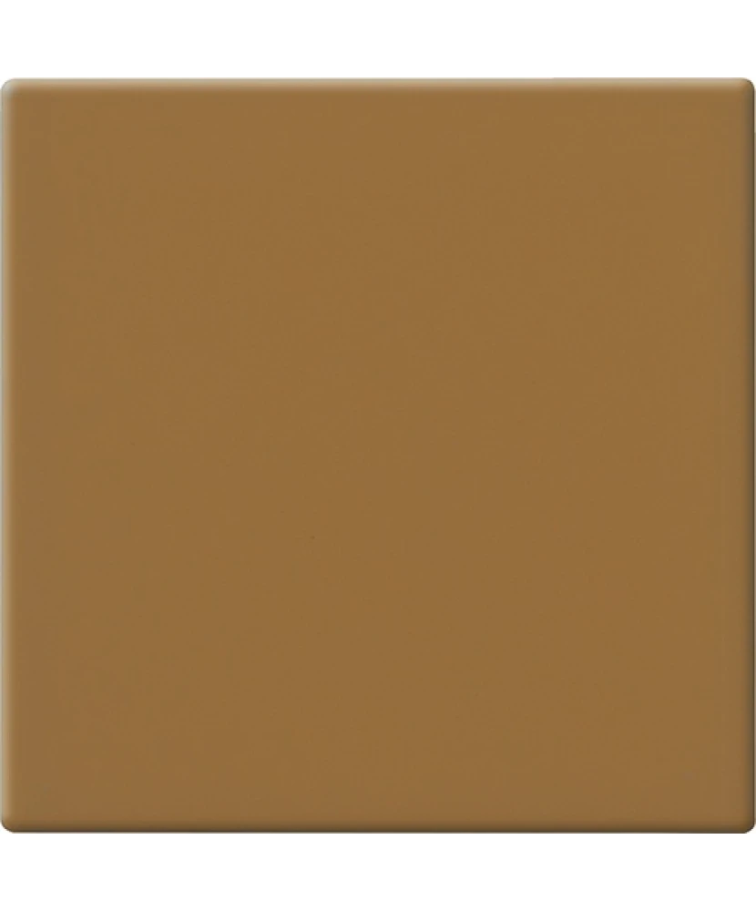 Carrelage 10x10 Caramello