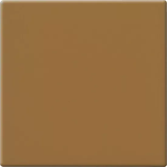 Carrelage 10x10 Caramello