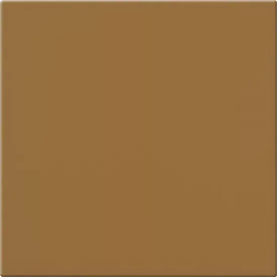 Carrelage 20x20 Caramello