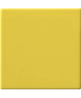10x10 Cedro
