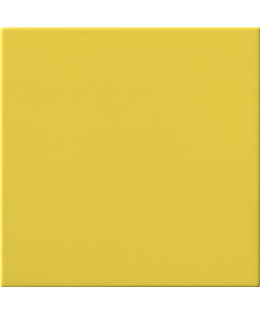 Carrelage 20x20 Cedro