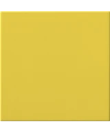 20x20 Cedro