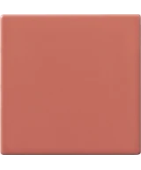 10x10 Corallo