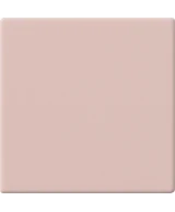 10x10 Malva