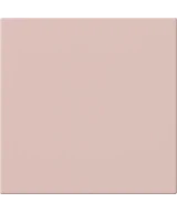 20x20 Malva