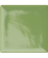 5x5 Lime