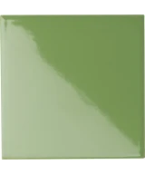 10x10 Lime