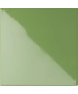 20x20 Lime
