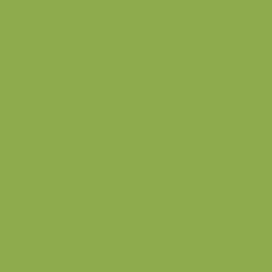 Carrelage 5x20 Kiwi