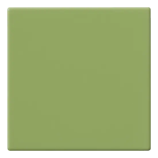 Carrelage 10x10 Kiwi