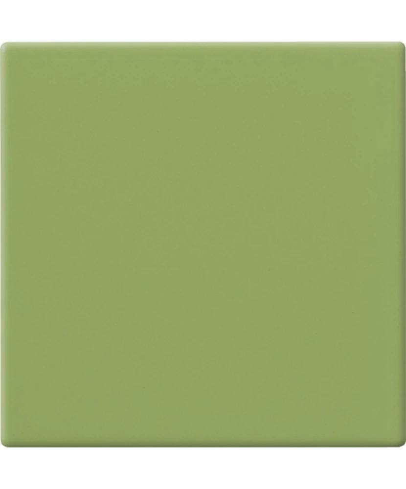Carrelage 10x10 Kiwi