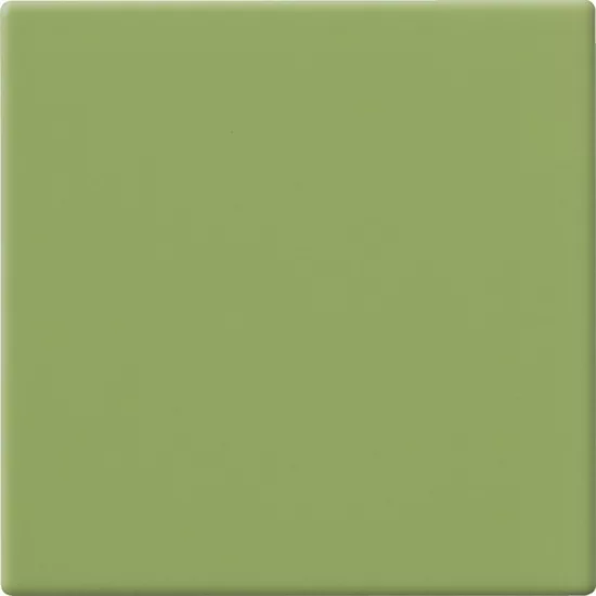 Carrelage 10x10 Kiwi