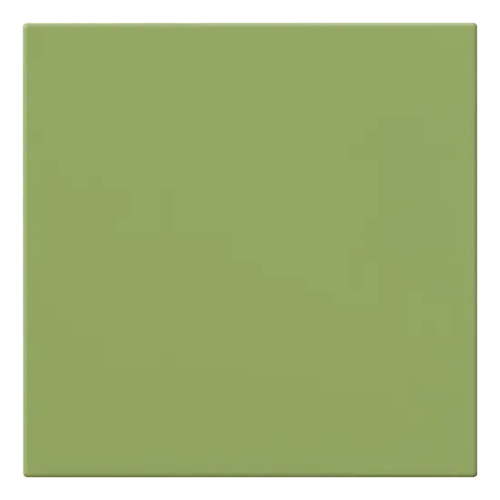 Carrelage 20x20 Kiwi