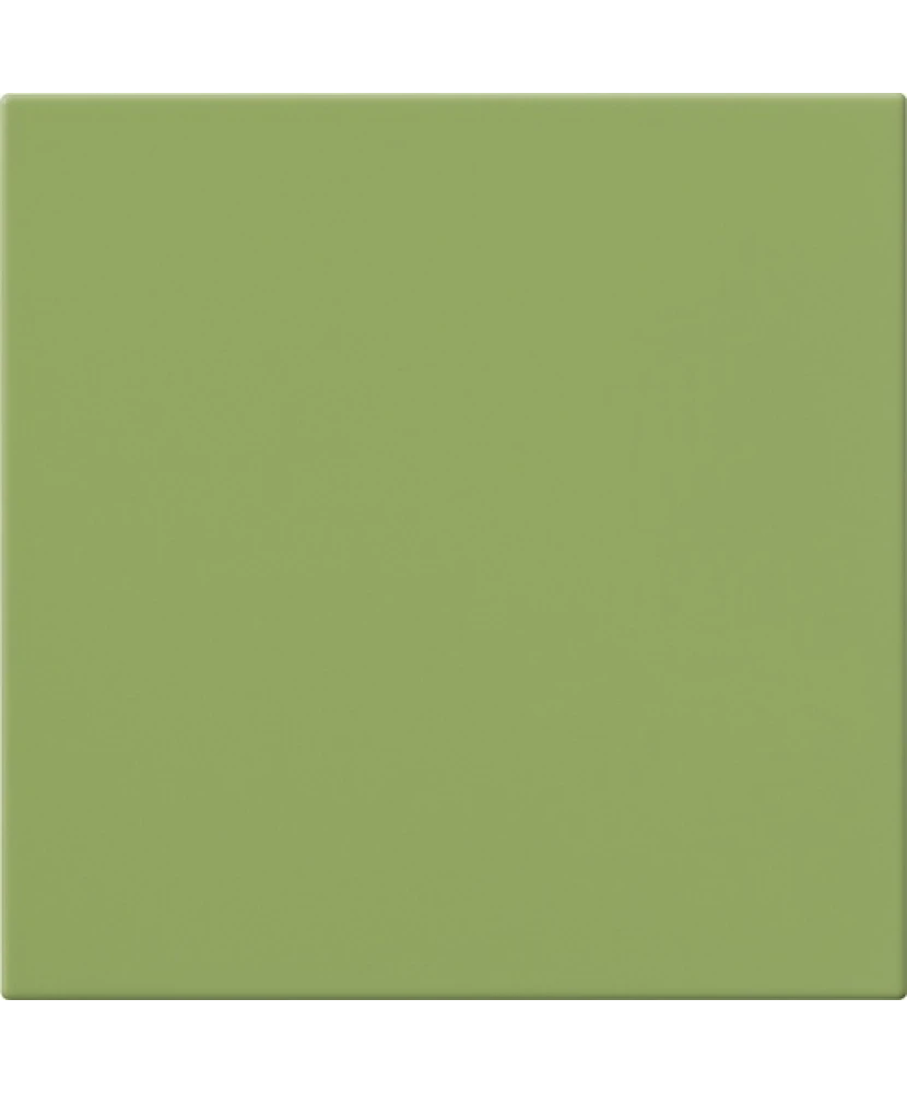 Carrelage 20x20 Kiwi