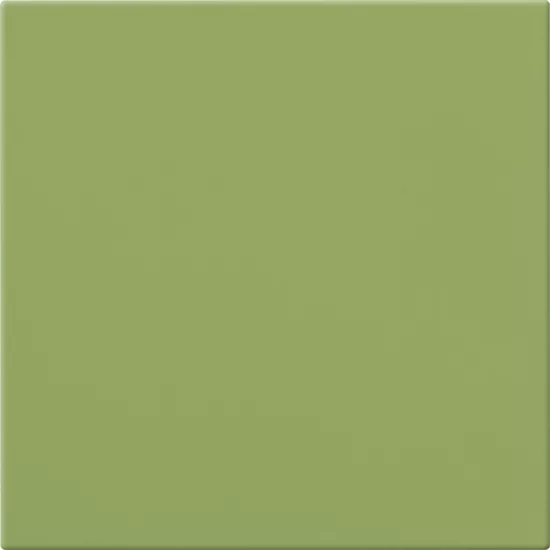 Carrelage 20x20 Kiwi