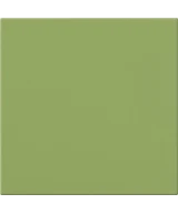 20x20 Kiwi