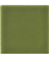 5x5 Avocado