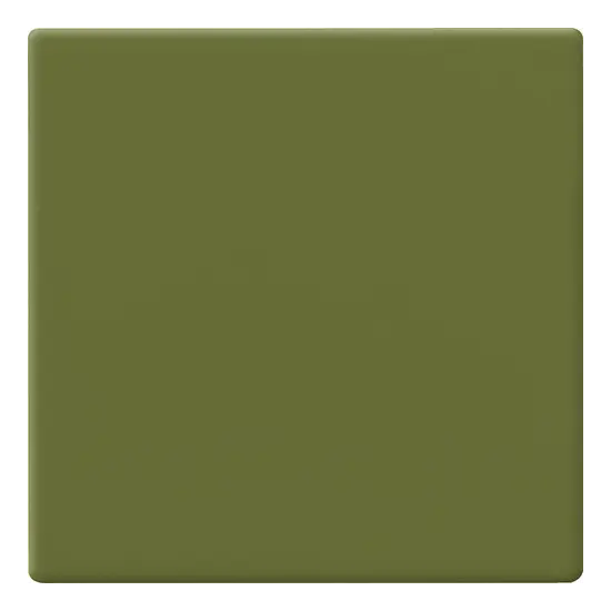 Carrelage 10x10 Avocado