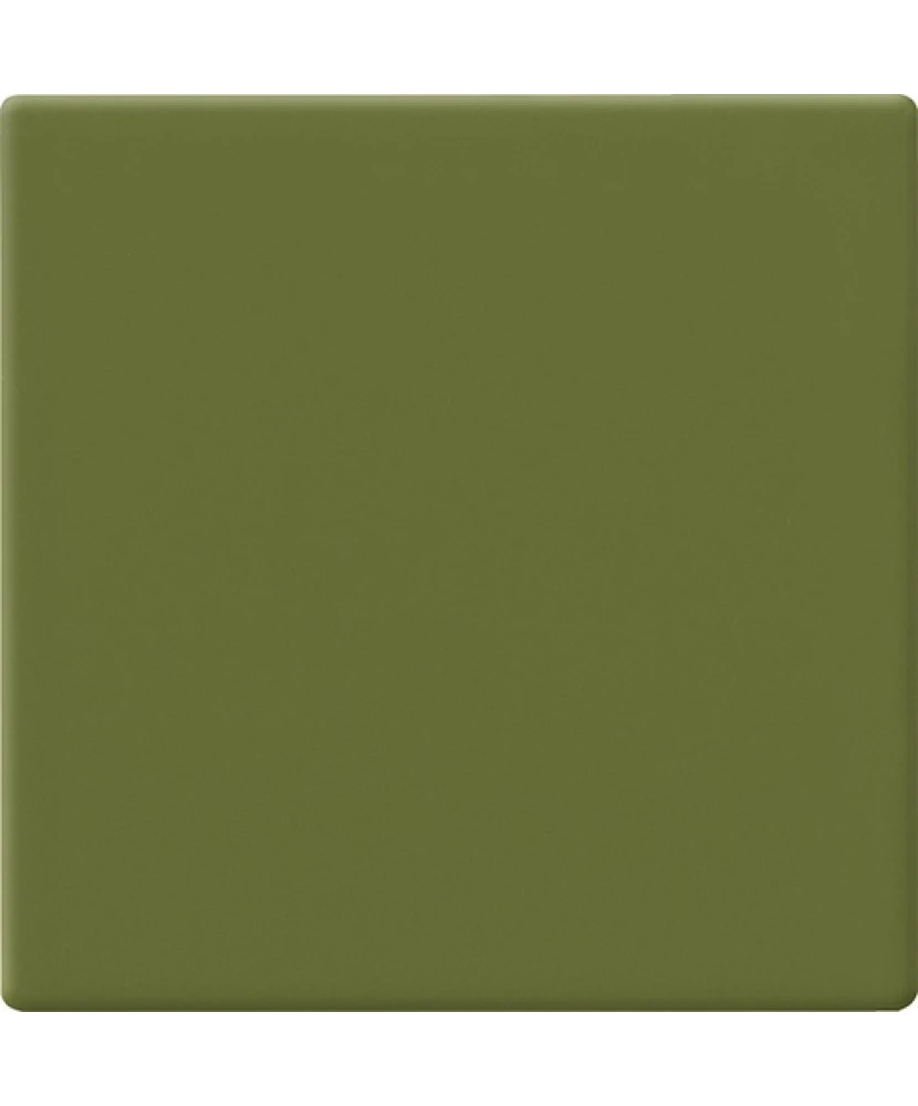 Carrelage 10x10 Avocado