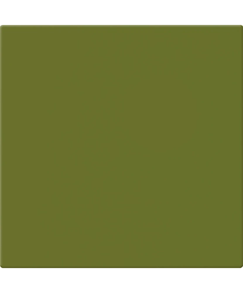 Carrelage 20x20 Avocado