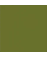 20x20 Avocado