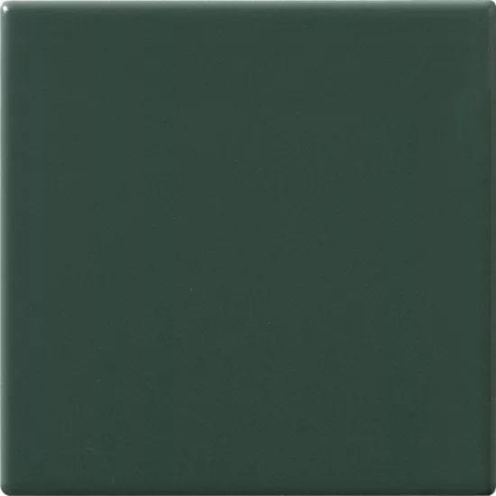 Carrelage 10x10 Felce
