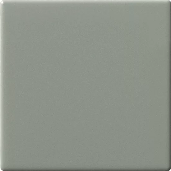 Carrelage 10x10 Anice