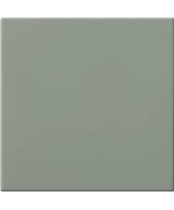20x20 Anice