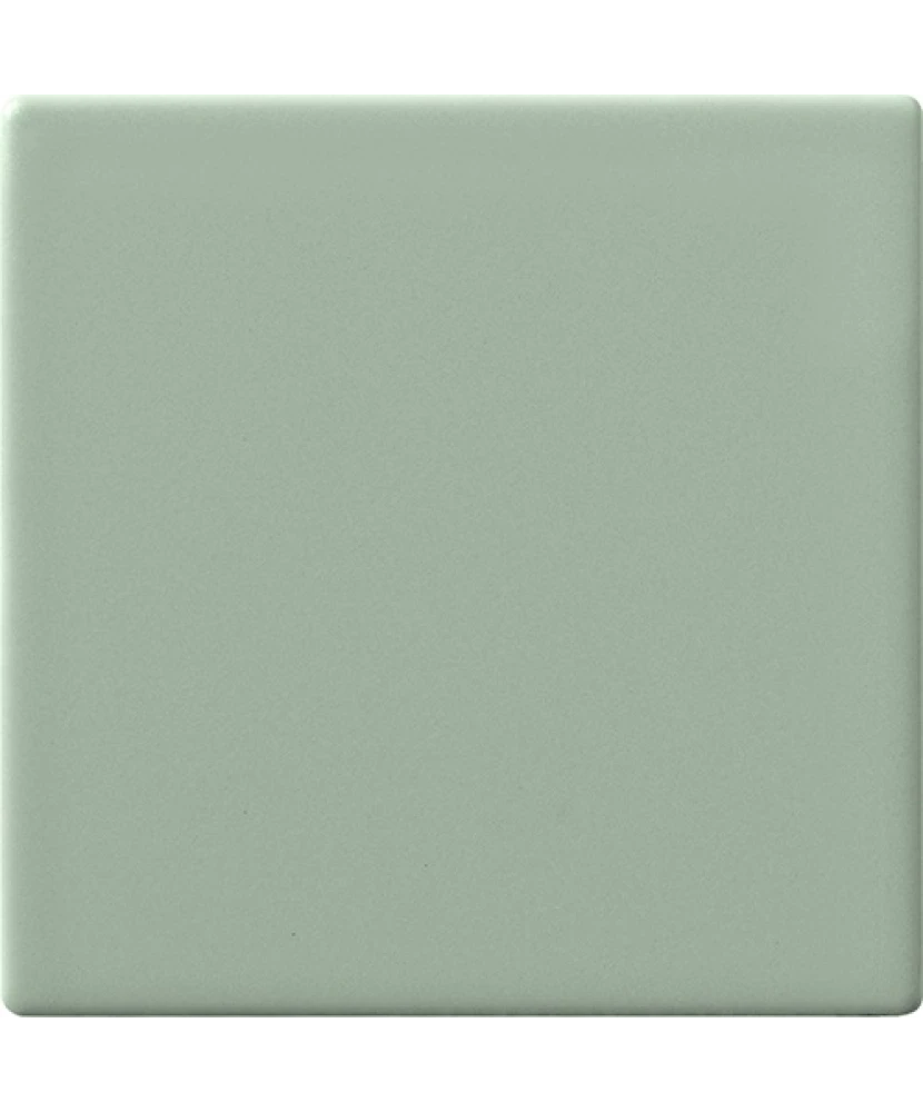 Carrelage 10x10 Aloe