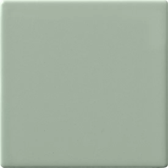 Carrelage 10x10 Aloe