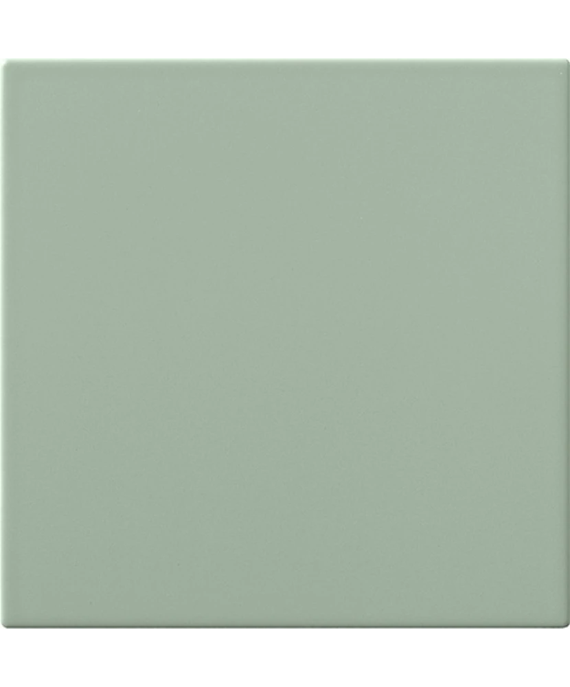 Carrelage 20x20 Aloe
