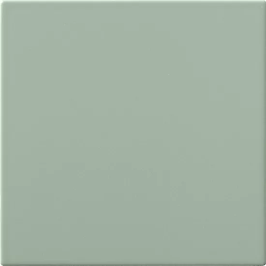 Carrelage 20x20 Aloe