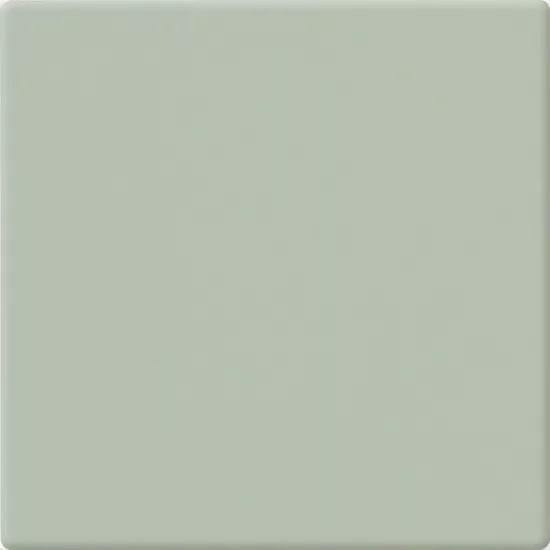 Carrelage 10x10 Edera