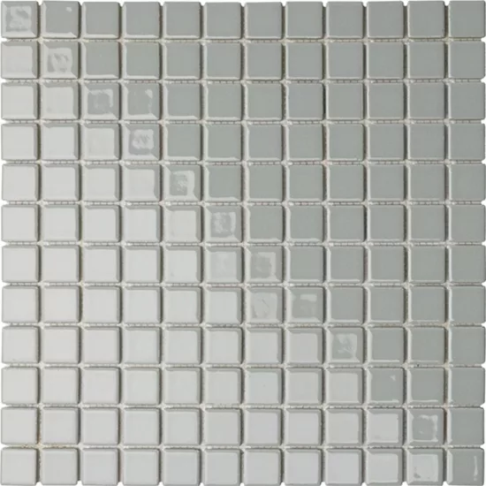 Carrelage 2,5x2,5 sur trame Stagno