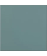 20x20 Salvia
