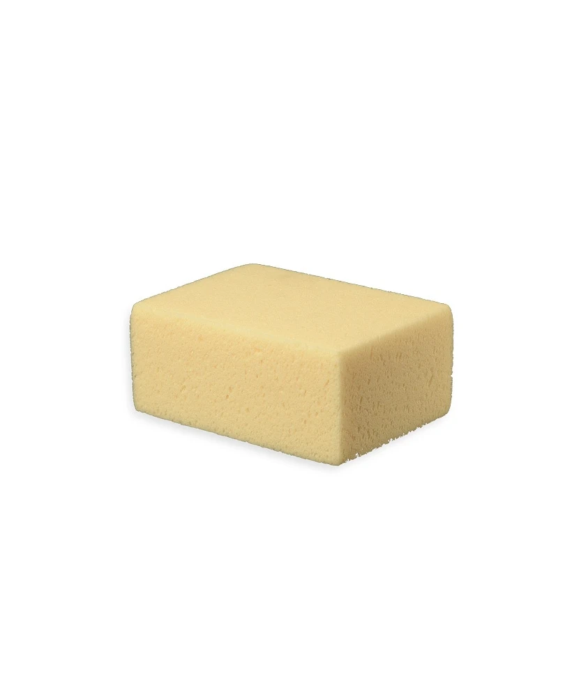 Éponge Pro Starlike® - boîte de 20 x 1 pièce Litokol