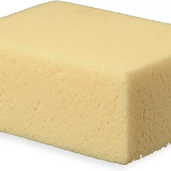 Éponge Pro Starlike® - boîte de 20 x 1 pièce Litokol