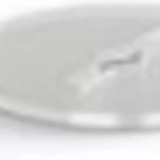 Bague de protection PLS - 100 pcs Profil Pros